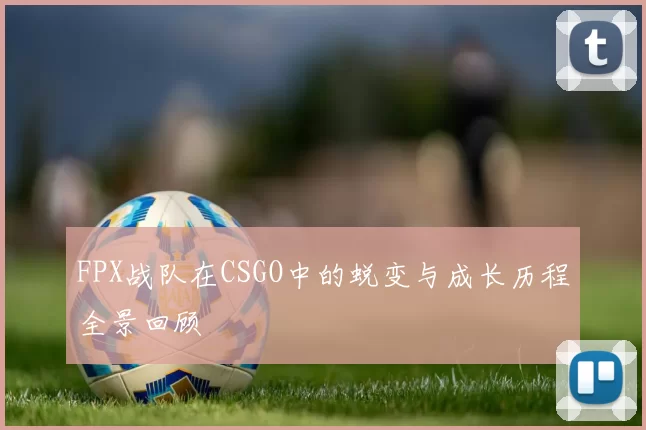 FPX战队在CSGO中的蜕变与成长历程全景回顾