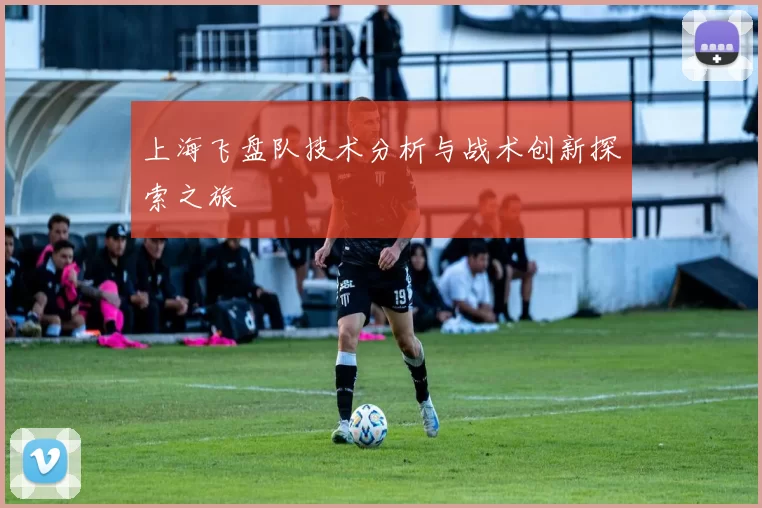 上海飞盘队技术分析与战术创新探索之旅