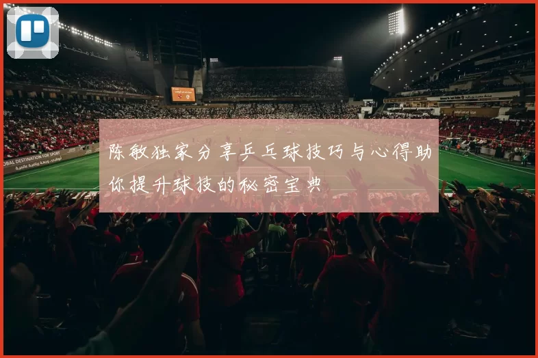 陈敏独家分享乒乓球技巧与心得助你提升球技的秘密宝典