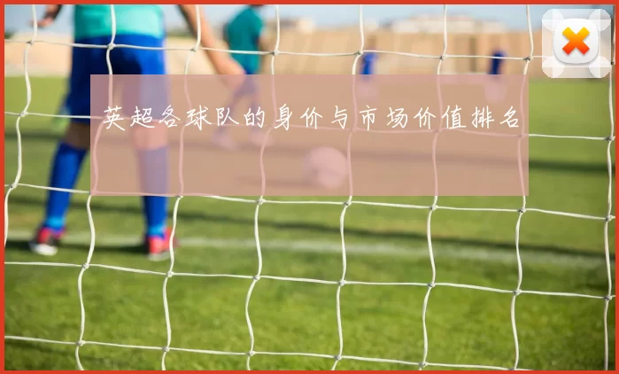 英超各球队的身价与市场价值排名