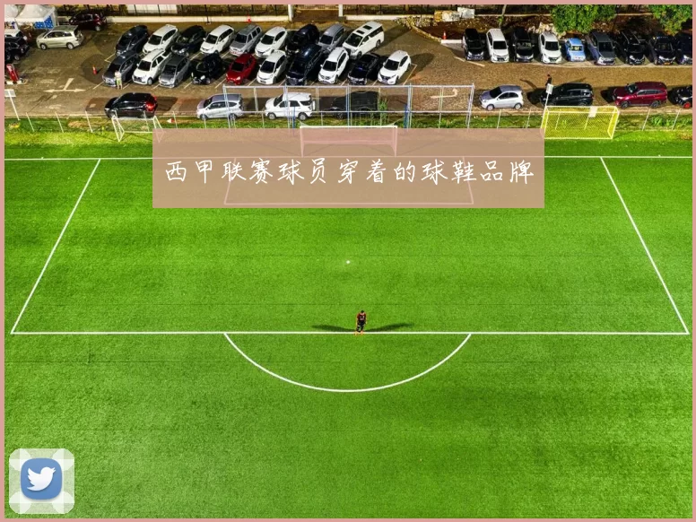 西甲联赛球员穿着的球鞋品牌