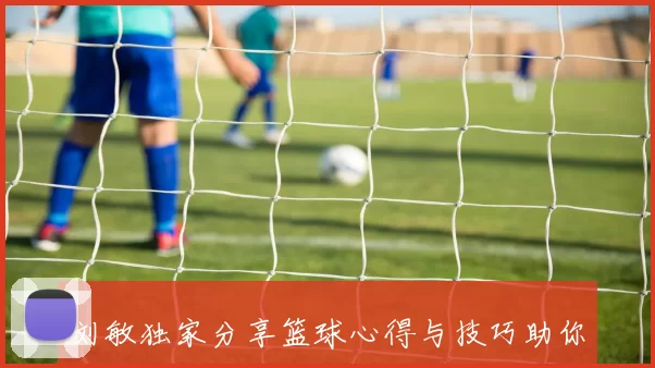 刘敏独家分享篮球心得与技巧助你提升球技的全面指南