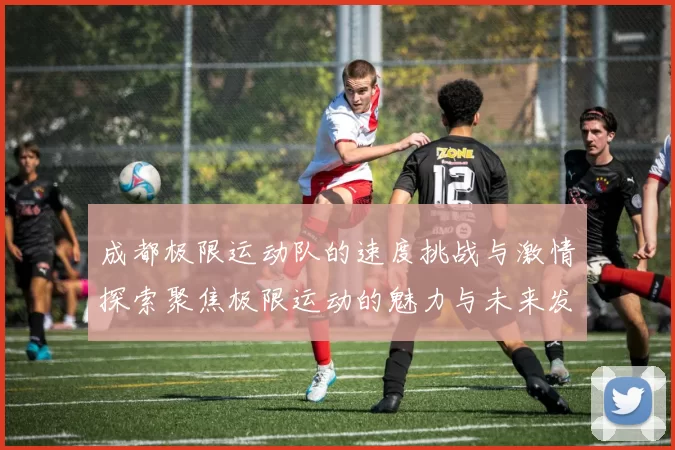 成都极限运动队的速度挑战与激情探索聚焦极限运动的魅力与未来发展