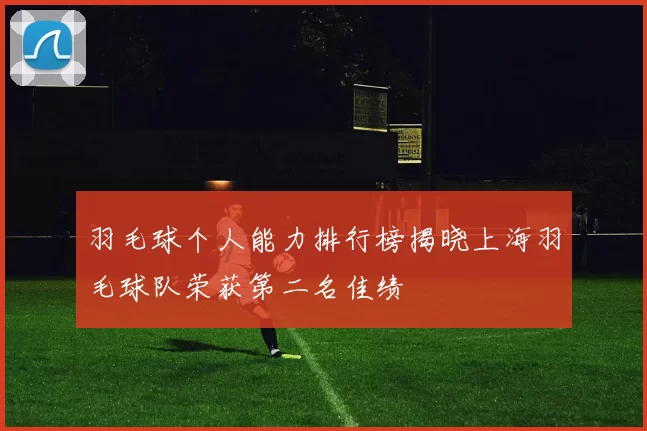 羽毛球个人能力排行榜揭晓上海羽毛球队荣获第二名佳绩