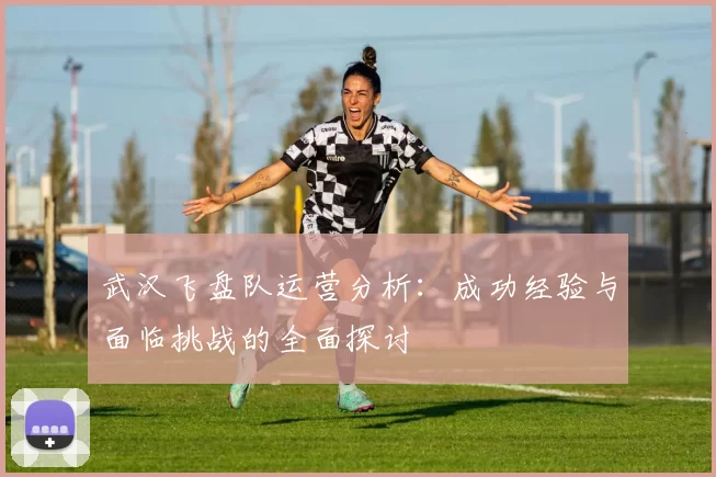 武汉飞盘队运营分析：成功经验与面临挑战的全面探讨