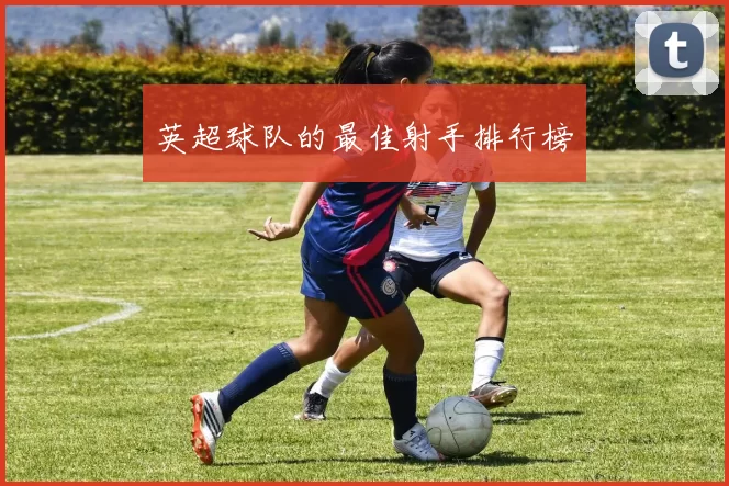 英超球队的最佳射手排行榜