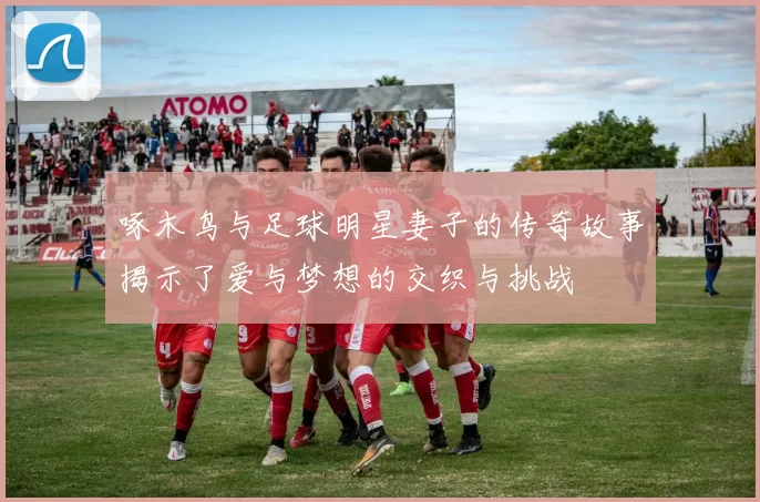 啄木鸟与足球明星妻子的传奇故事揭示了爱与梦想的交织与挑战