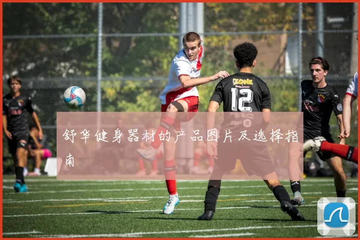 舒华健身器材的产品图片及选择指南